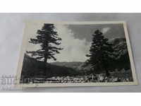 Пощенска картичка Пирин Изворите с връх Хвойнати