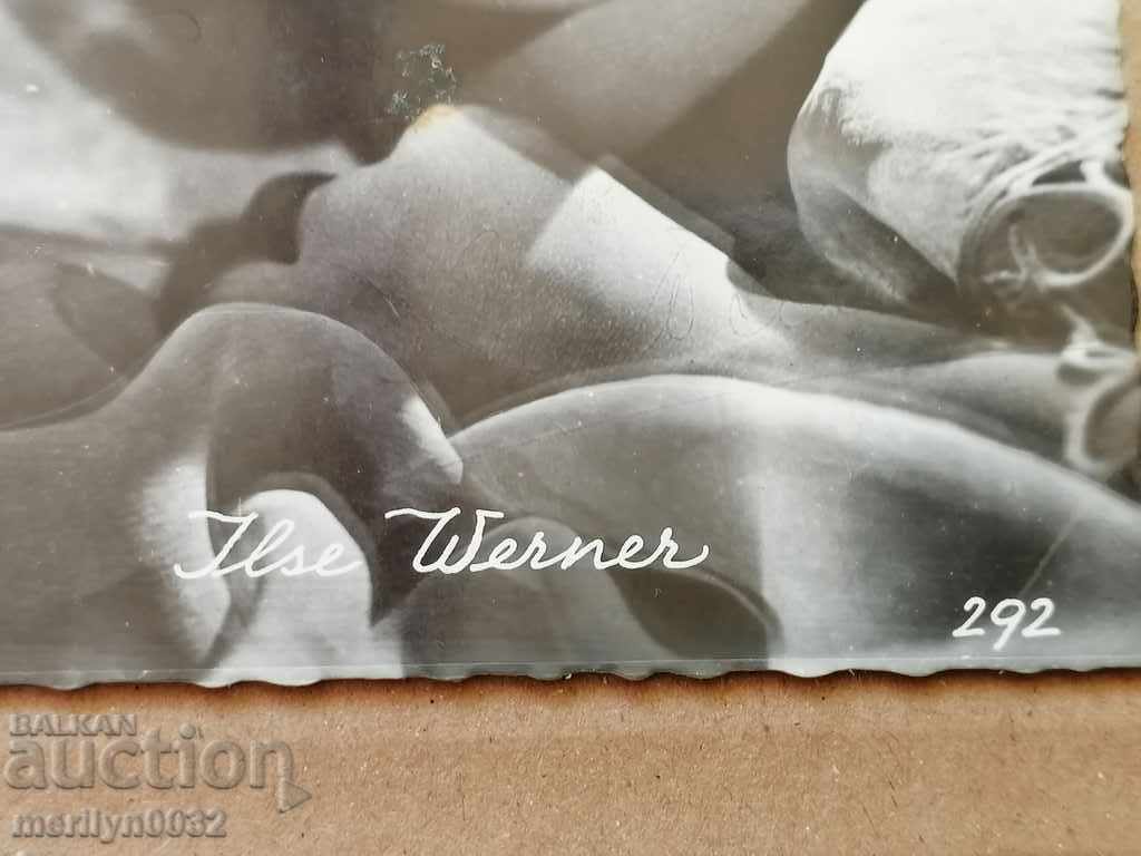 Auction Postcard photo Else Werner Vienna Auction Postcard photo Else Werner Vienna