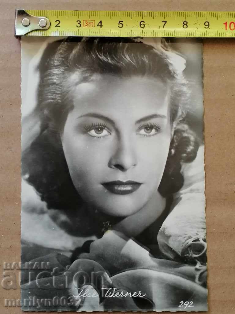 Postcard photo Else Werner Vienna - 6 Postcard photo Else Werner Vienna - 6