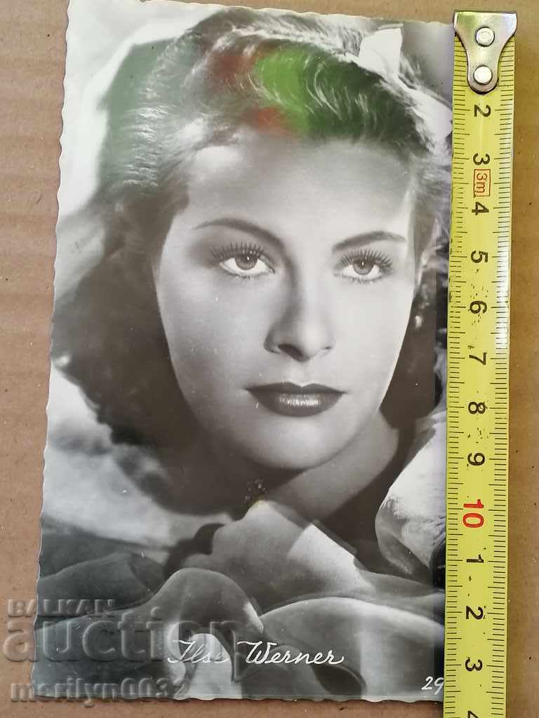 Postcard photo Else Werner Vienna - 7 Postcard photo Else Werner Vienna - 7