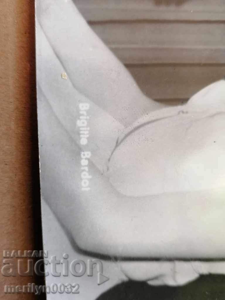 Auction Postcard photo Bridget Bardo Vienna Auction Postcard photo Bridget Bardo Vienna