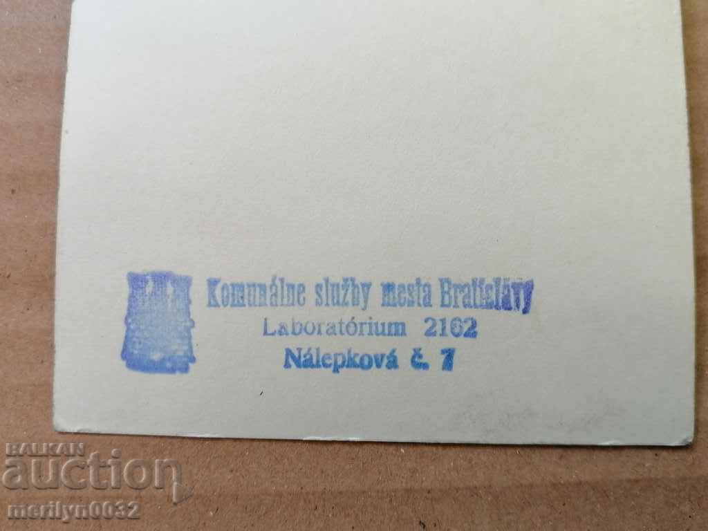 Postcard photo Bridget Bardo Vienna - 5 Postcard photo Bridget Bardo Vienna - 5