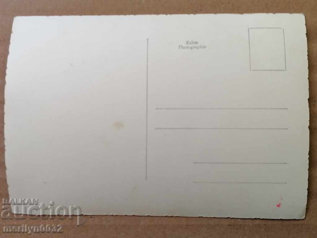 Postcard photo Ted Harold Vienna - 6