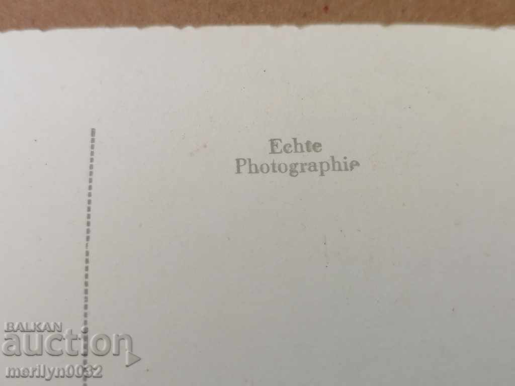 Postcard photo Ted Harold Vienna - 7