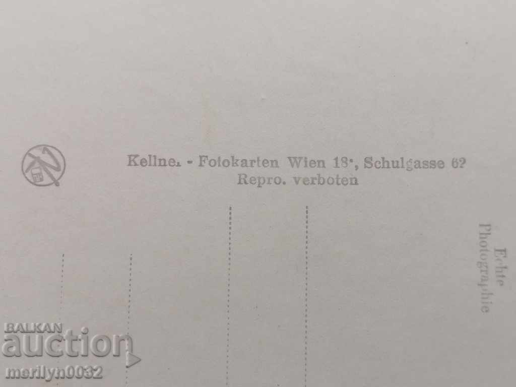 Postcard photo Horst Buscholz Vienna - 5 Postcard photo Horst Buscholz Vienna - 5
