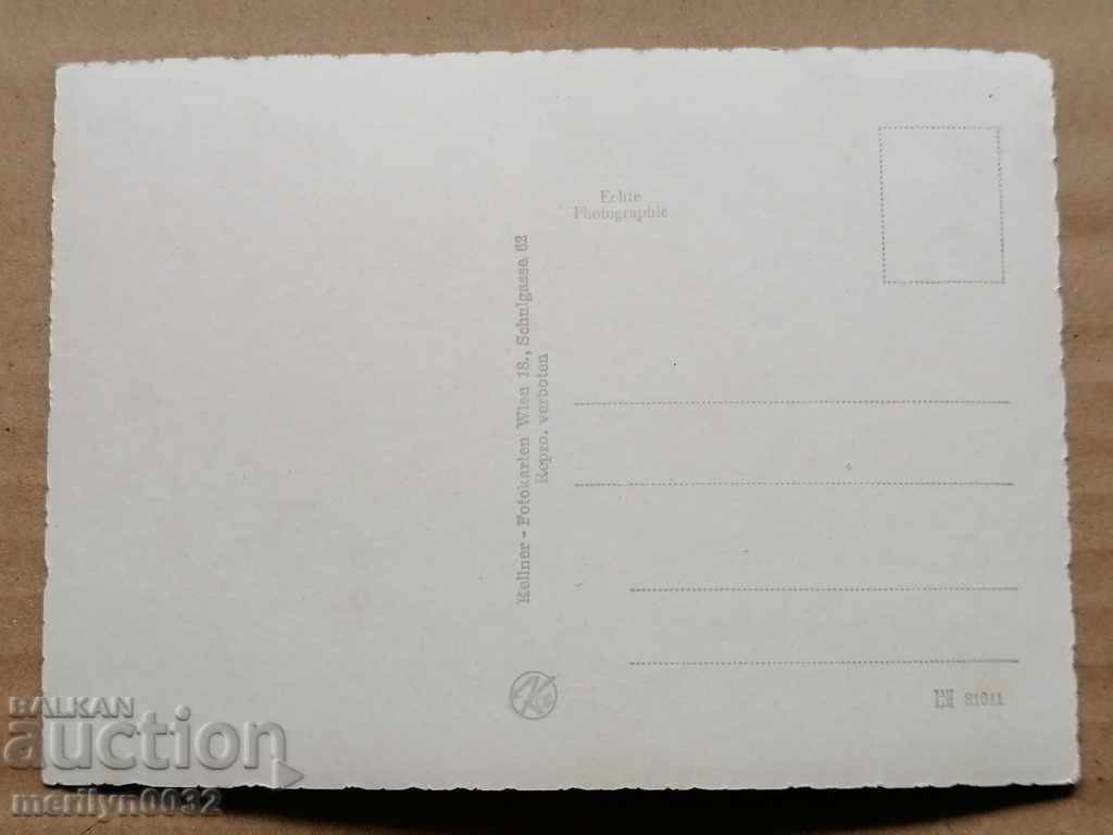 Delivery of Postcard photo Julia Arnal Vienna Delivery of Postcard photo Julia Arnal Vienna