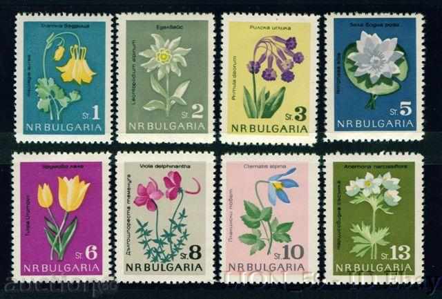 1462 България 1963  Редки цветя **