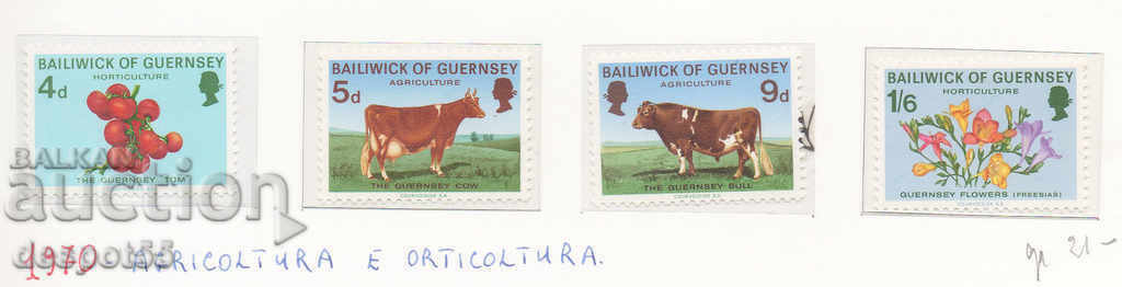 1970. Guernsey. Horticulture and agriculture.