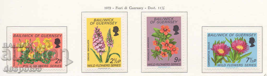 1972 Guernsey. Άγρια λουλούδια.