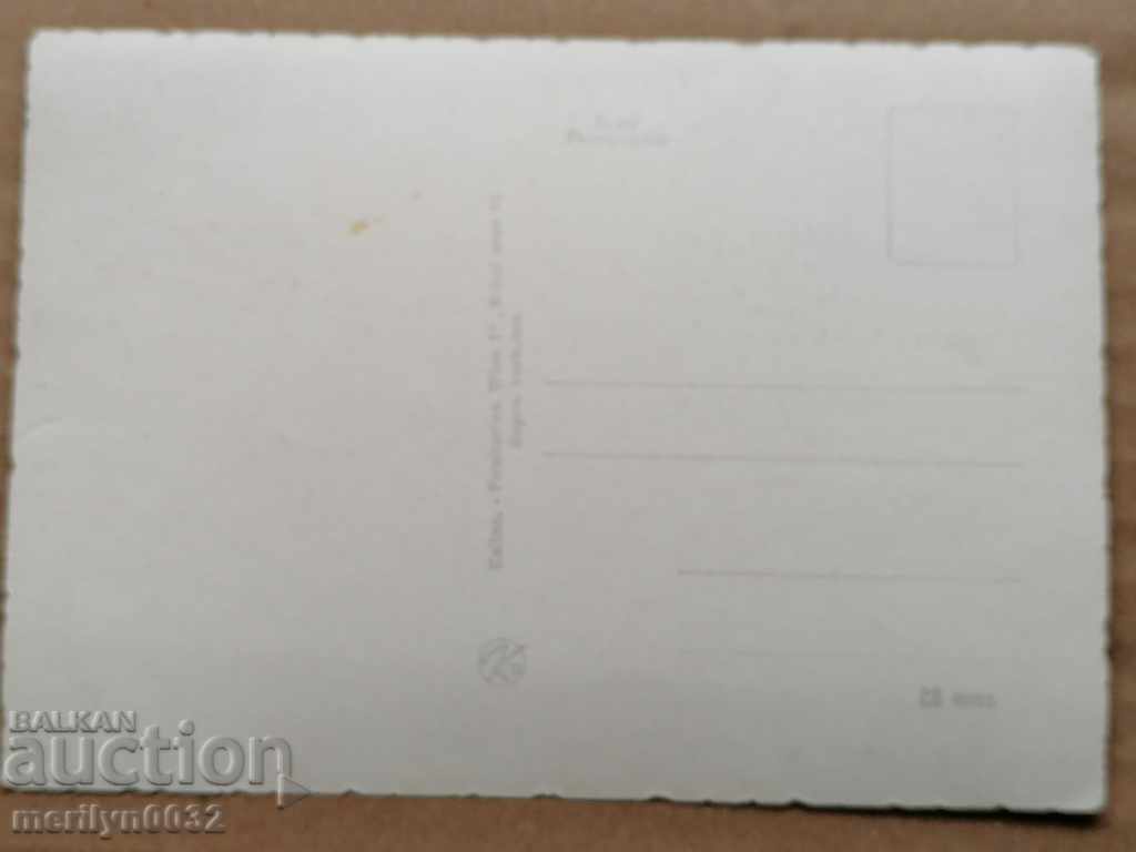 Postcard photo Hardy Krueger Vienna - 5