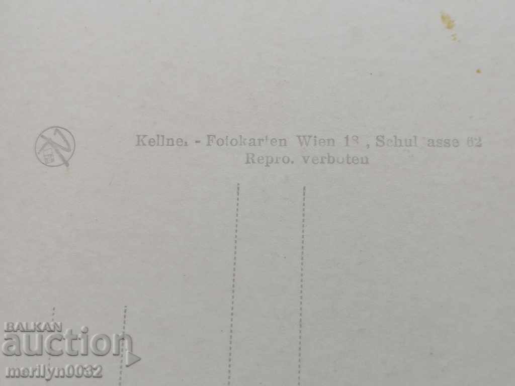 Postcard photo Hardy Krueger Vienna - 6