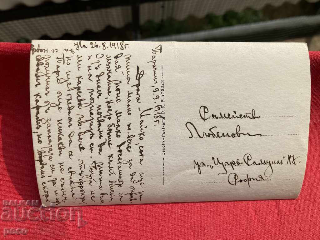 Parachin 1918 World War I first selfie in the mirror - 6 Parachin 1918 World War I first selfie in the mirror - 6