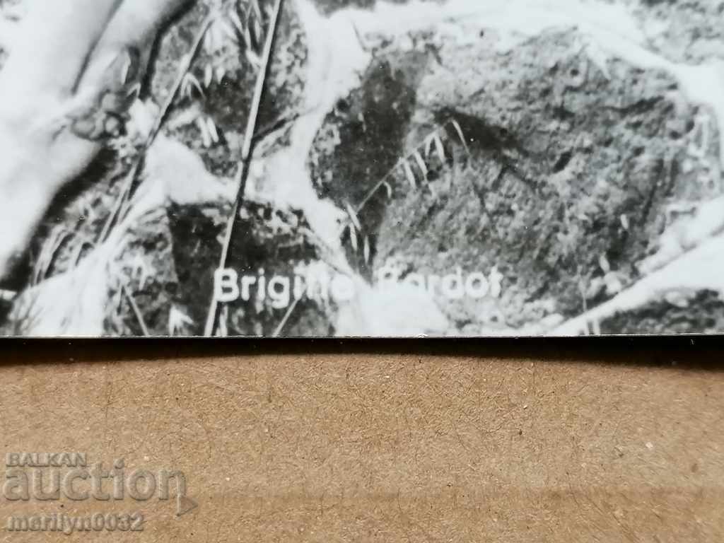 Postcard photo Brigitte Burdeau with price 19.00 BGN | € 9.71 Postcard photo Brigitte Burdeau with price 19.00 BGN | € 9.71