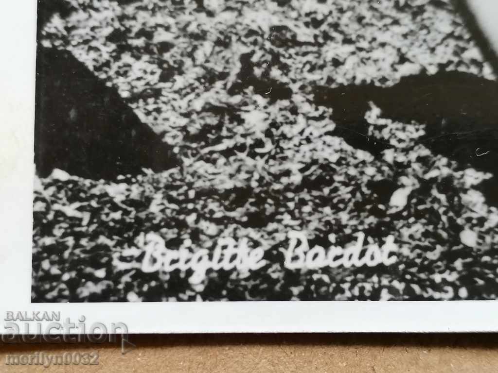 Postcard photo Brigitte Burdeau with price 19.00 BGN | € 9.71 Postcard photo Brigitte Burdeau with price 19.00 BGN | € 9.71