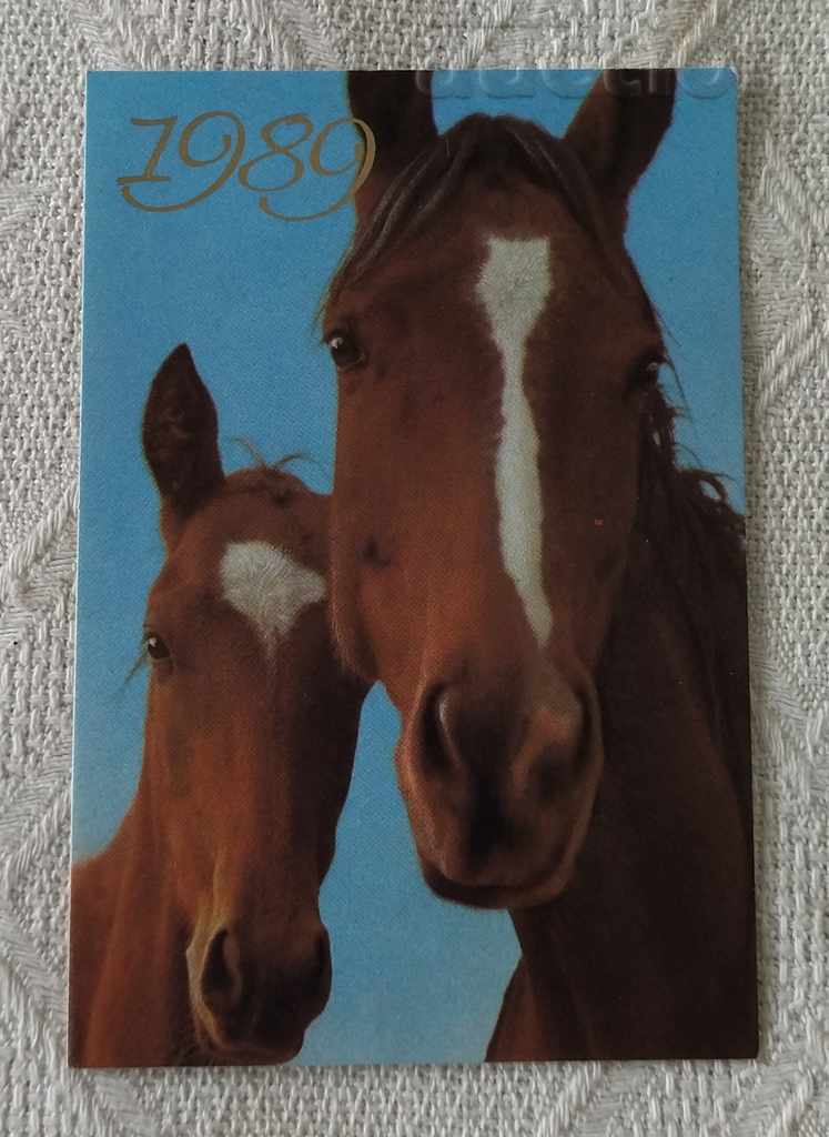 HORSE CALENDAR 1989