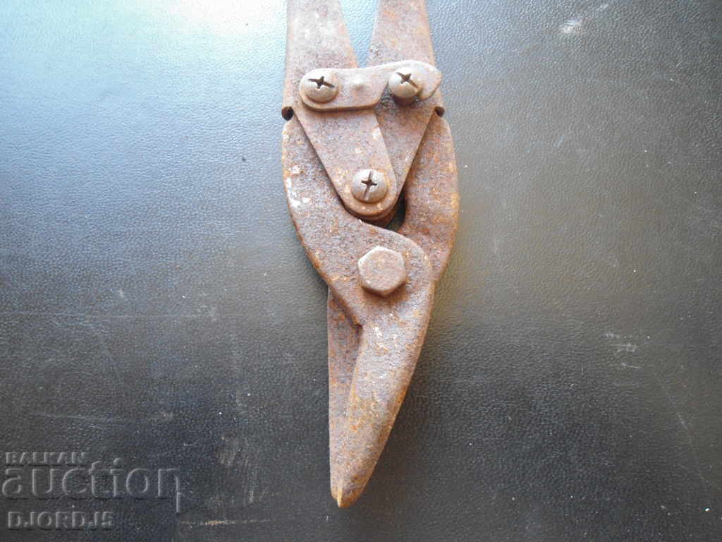 Old scissors - 5 Old scissors - 5