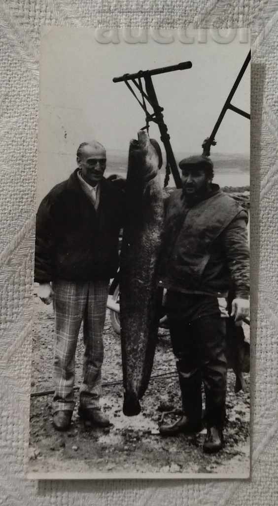 HUGE FISH CATFISH CATCH PICTURE 197 ..