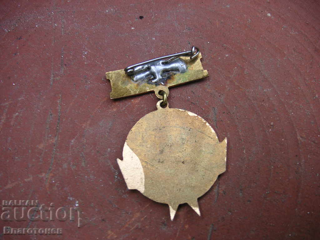 Badge Badge with price 10.00 BGN | € 5.11 Badge Badge with price 10.00 BGN | € 5.11