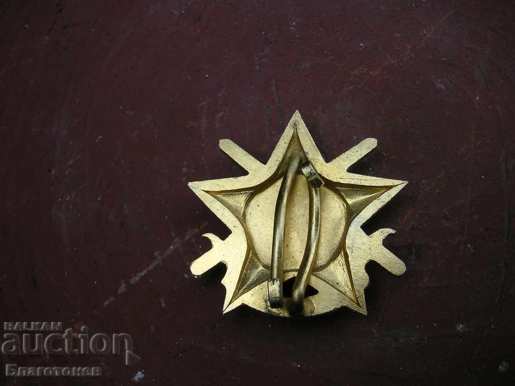 Σήμα στήθους με τιμή 10.00 BGN | € 5.11