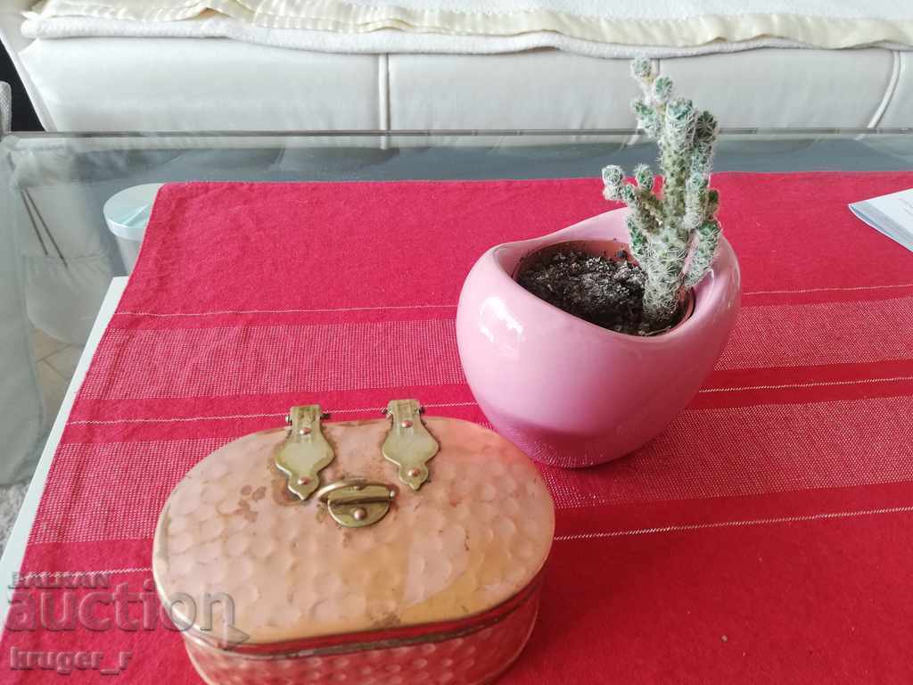 Ένα μεταλλικό κουτί με τιμή 20.00 BGN | € 10.23 Ένα μεταλλικό κουτί με τιμή 20.00 BGN | € 10.23