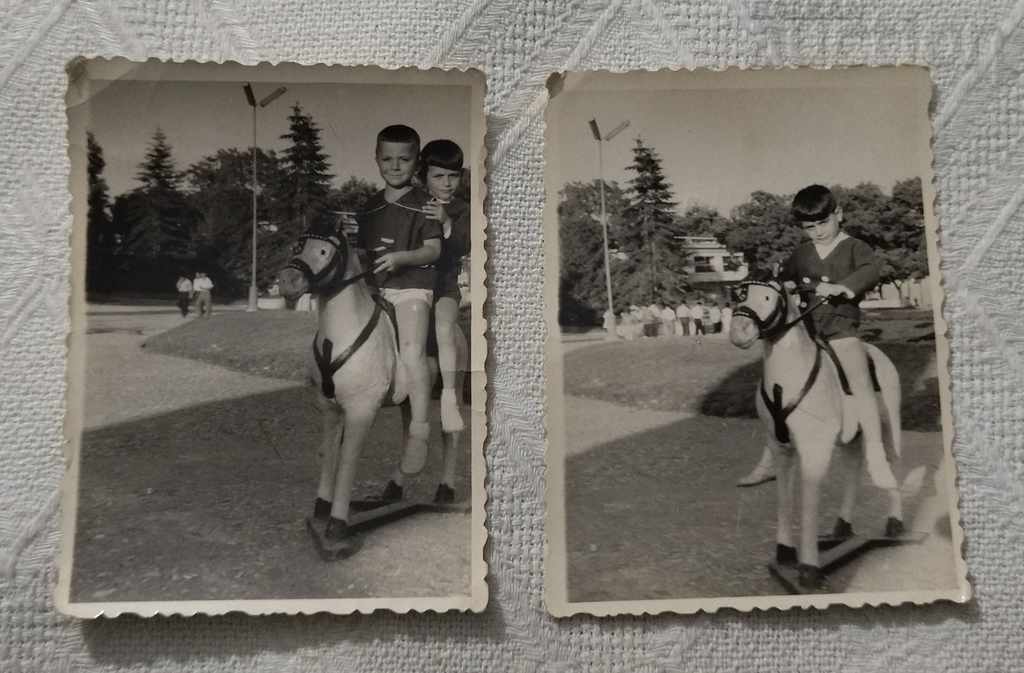 VARNA HORSE PARK PHOTO LOT 2 ΘΕΜΑΤΑ 1960