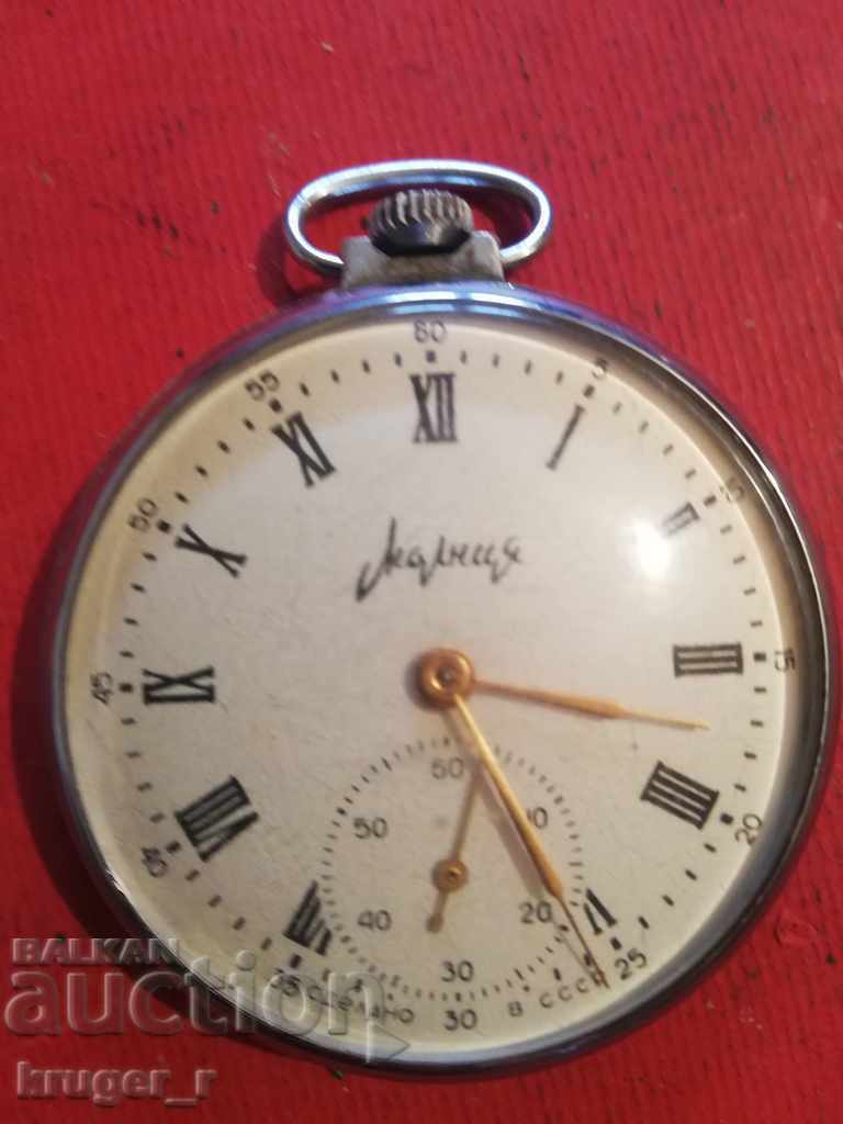 Pocket Watch Zipper