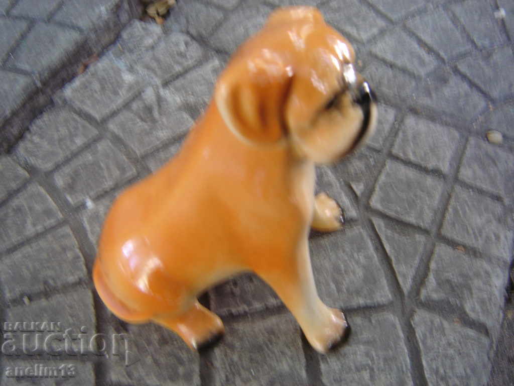 STAR PORCELAIN DOG - 5 STAR PORCELAIN DOG - 5