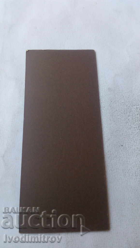 Φωτογραφία Μια νεαρή γυναίκα από χαρτόνι με τιμή 5.45 BGN | € 2.79 Φωτογραφία Μια νεαρή γυναίκα από χαρτόνι με τιμή 5.45 BGN | € 2.79