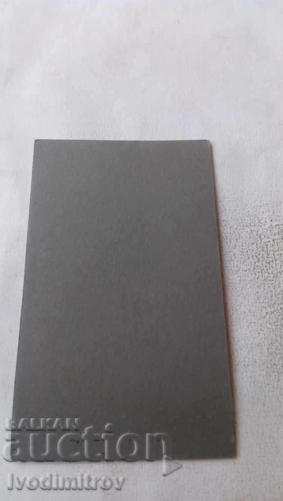 Φωτογραφία Νεαρά χαρτικά κορίτσι με τιμή 5.45 BGN | € 2.79 Φωτογραφία Νεαρά χαρτικά κορίτσι με τιμή 5.45 BGN | € 2.79