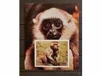 Emiratele Arabe Unite / Sharjah 1972 Fauna / Maimuțe Bloc neperforat 5 € MNH