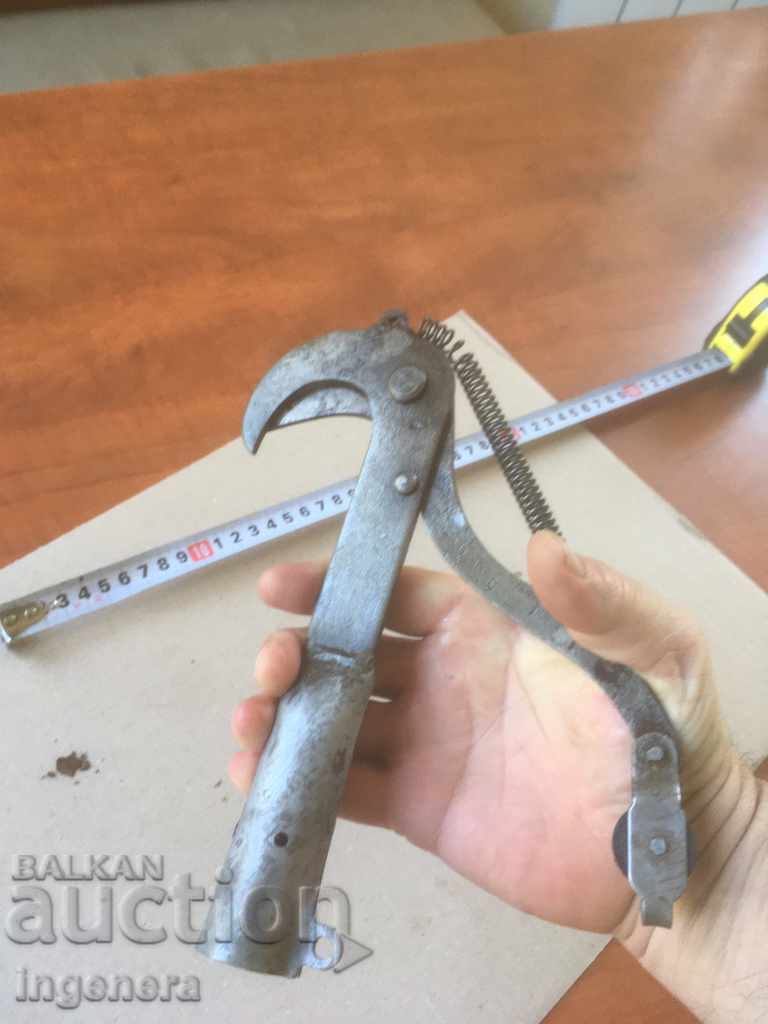 Auction BRANCH SCISSORS WITH ROLL ANCIENT FORGED TOOL Auction BRANCH SCISSORS WITH ROLL ANCIENT FORGED TOOL