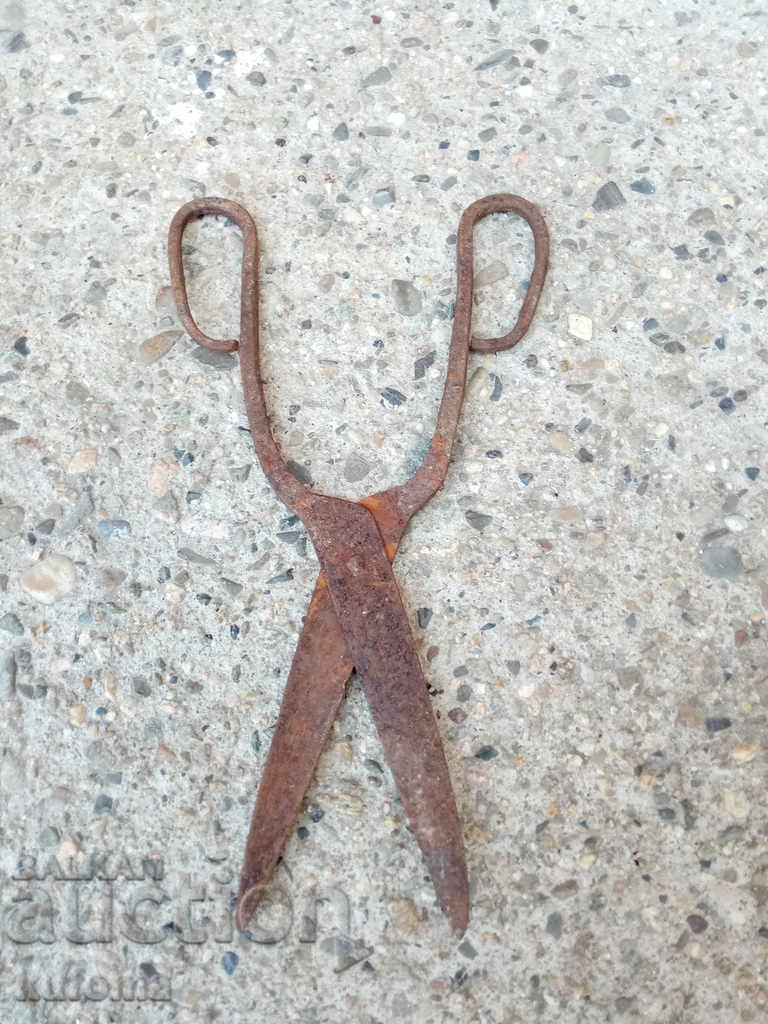 Auction Old forged scissors Auction Old forged scissors