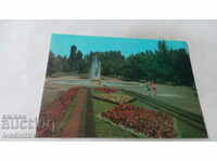 Пощенска картичка Павликени Паркът 1977