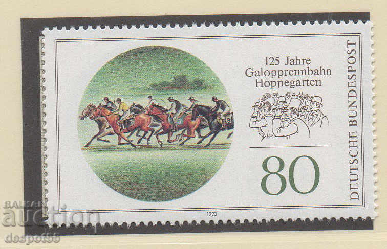 1993. ГФР. 125 год. от състезателното игрище Хопегартен.