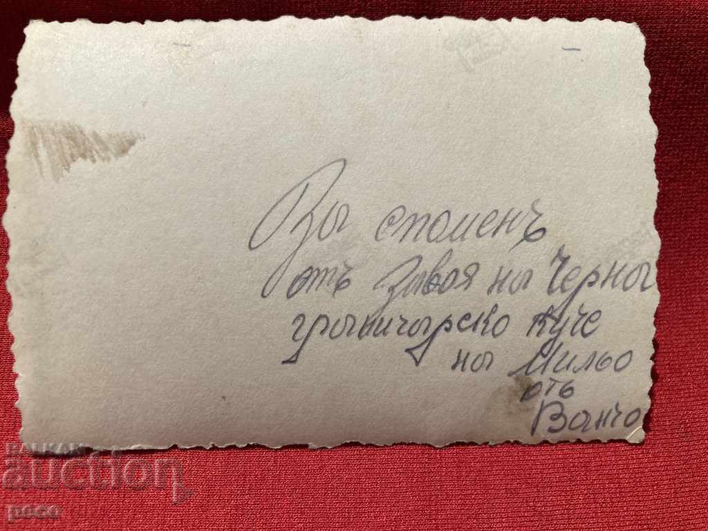 The turn of the Black Border Guard Dog - 7 The turn of the Black Border Guard Dog - 7