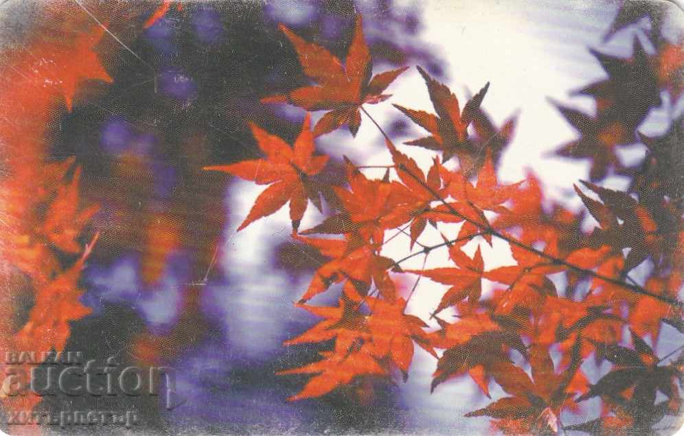 Phonocard BTK 25 Phonocard BTK 25