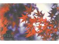 Κάρτα ήχου BTC 25