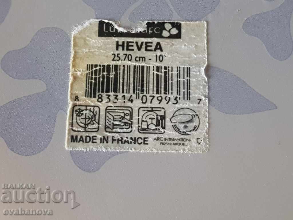 Perfect designer painted French plate HEVEA - 7 Perfect designer painted French plate HEVEA - 7