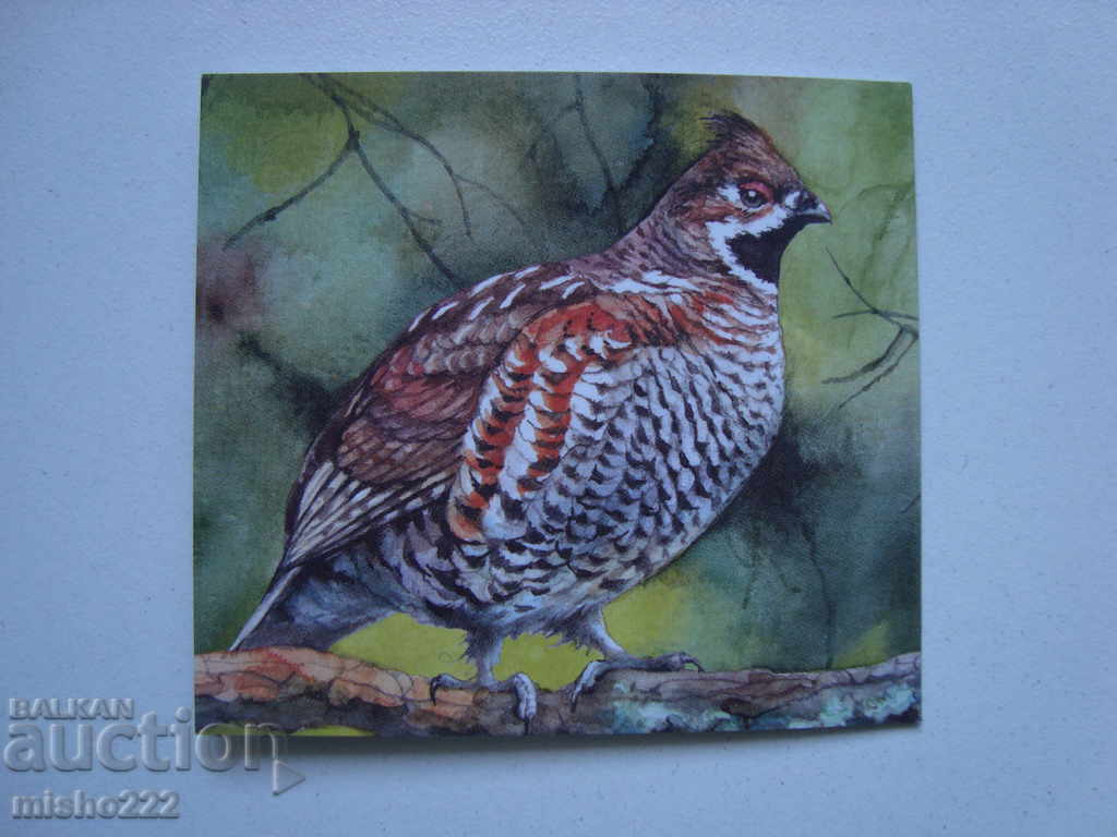 Carnet Europe 2019 - protected birds with price 16.00 BGN | € 8.18