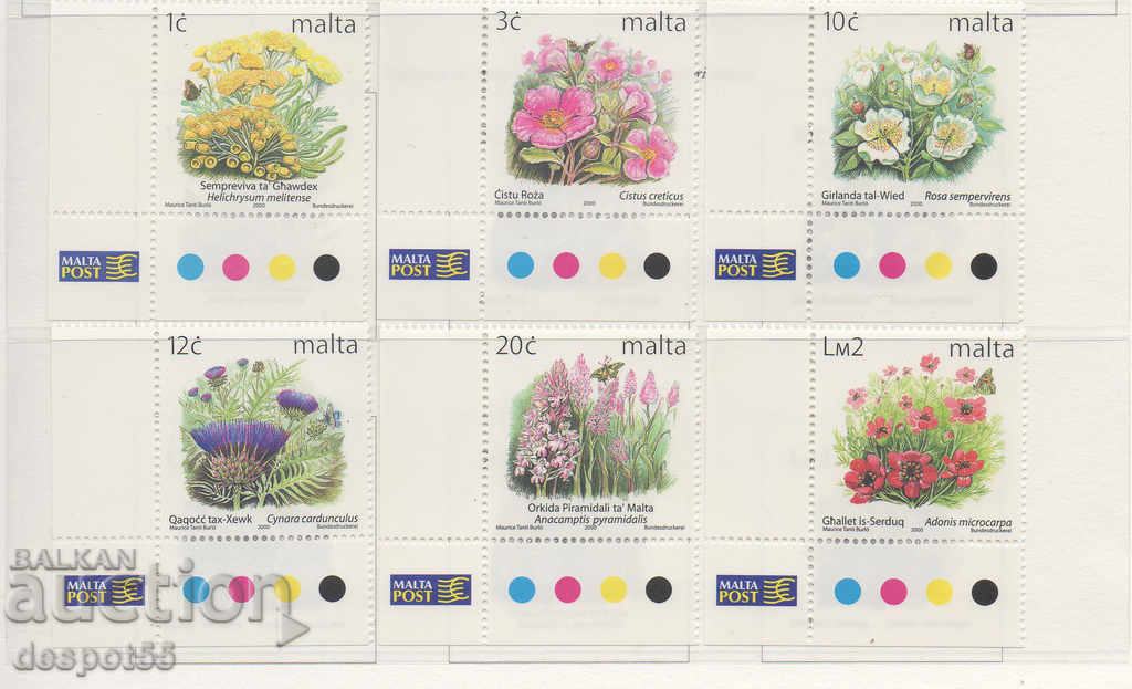 2000. Malta. Flowers.