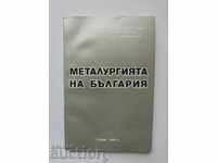 Metallurgy of Bulgaria - A. Avramov and others. 1996