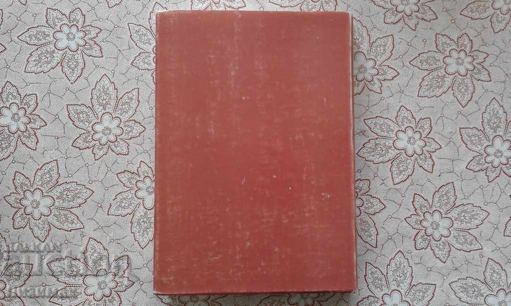 Auction Cultural development of the Bulgarian state, the end of XII-XIV century Auction Cultural development of the Bulgarian state, the end of XII-XIV century