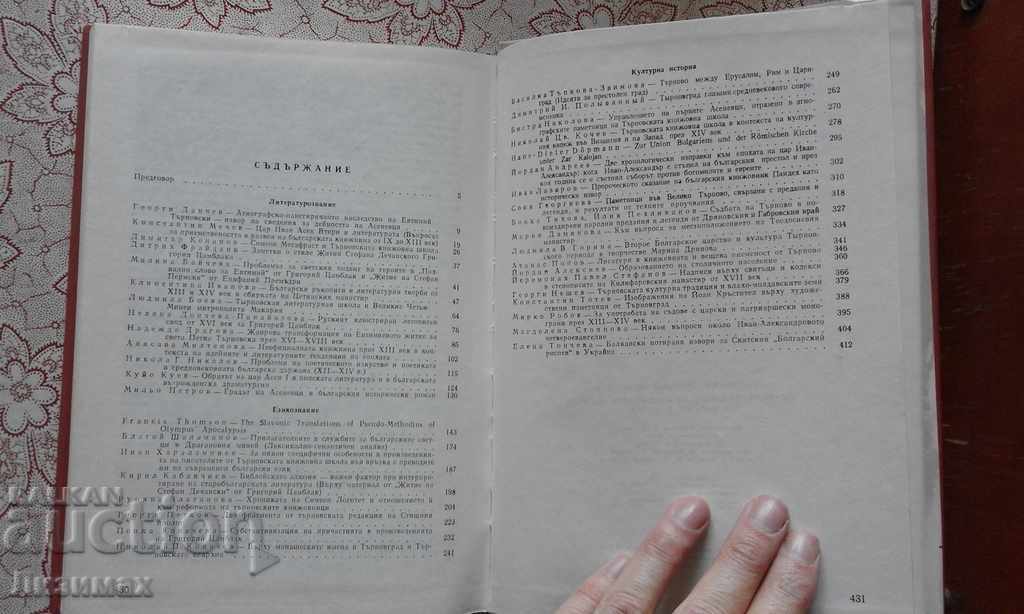 Delivery of Cultural development of the Bulgarian state, the end of XII-XIV century Delivery of Cultural development of the Bulgarian state, the end of XII-XIV century