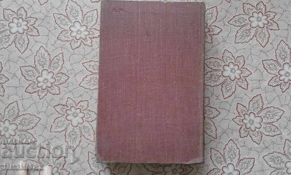 Δημοπρασία Ιταλικό μυθιστόρημα Αναβιώσεις Δημοπρασία Ιταλικό μυθιστόρημα Αναβιώσεις