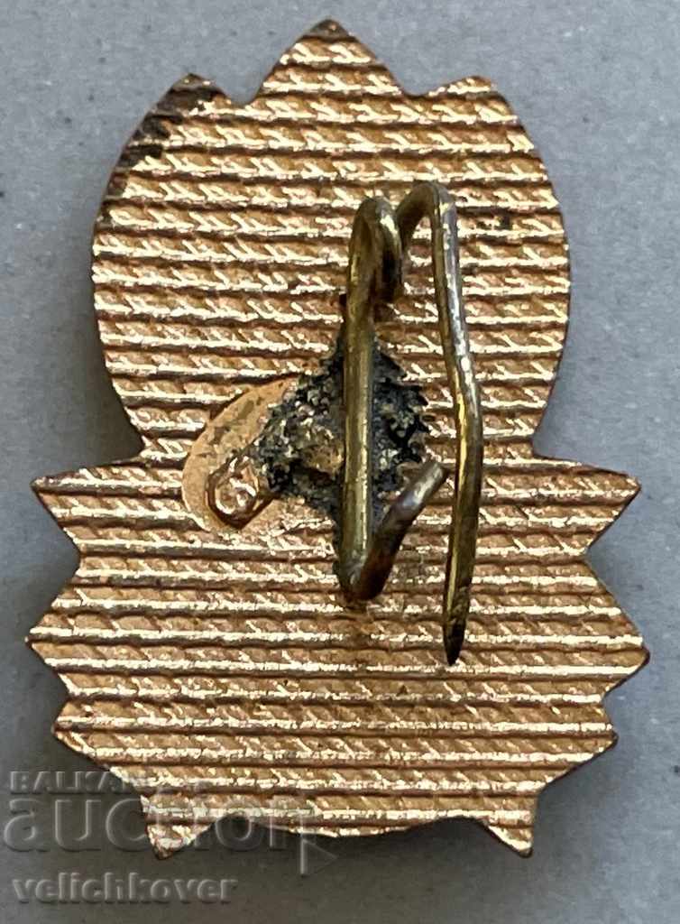 30657 Bulgaria sign Pioneer organization Septemvriyche enamel with price 3.00 BGN | € 1.53