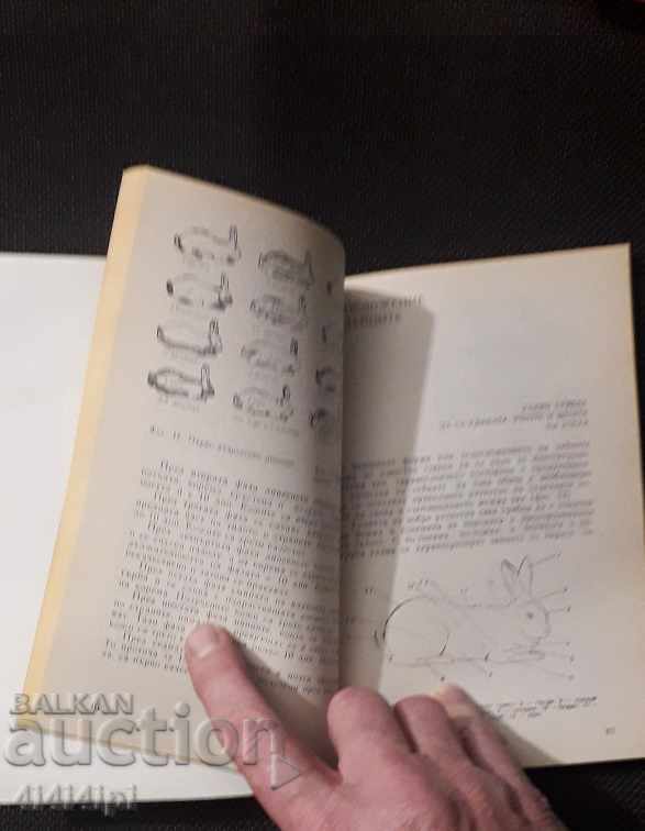 Auction Books on hare breeding - 2 pcs. Auction Books on hare breeding - 2 pcs.