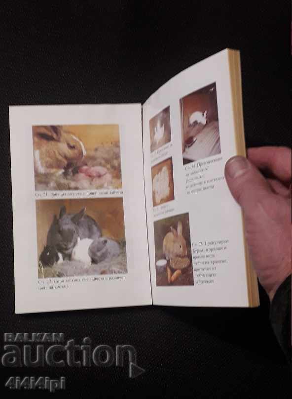 Books on hare breeding - 2 pcs. - 5 Books on hare breeding - 2 pcs. - 5