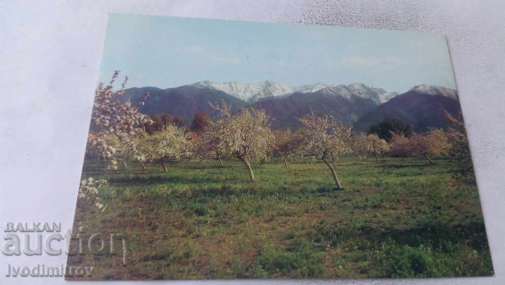 Carte poștală Bansko Vedere a lui Pirin
