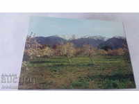 Postcard Bansko View of Pirin