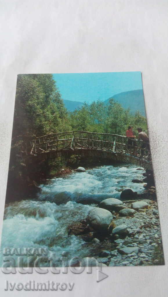 Postcard Stanke Dimitrov Park Rila 1979